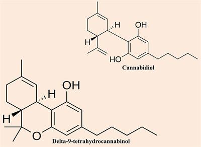 Emerging Promise of Cannabinoids for the Management of Pain and Associated Neuropathological Alterations in Alzheimer’s Disease